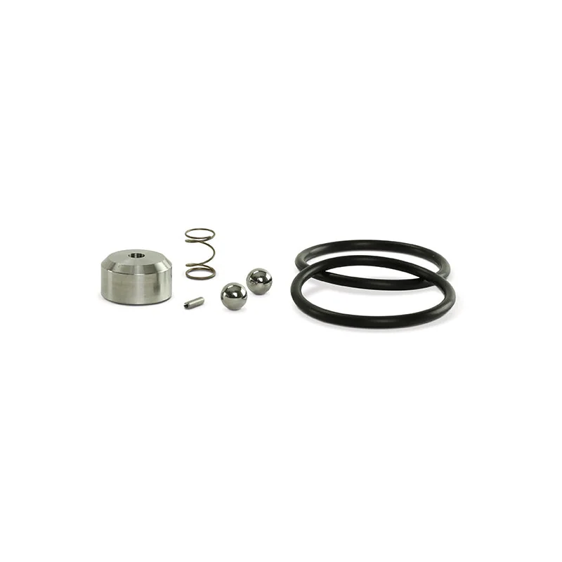 Check Valve Repair Kit