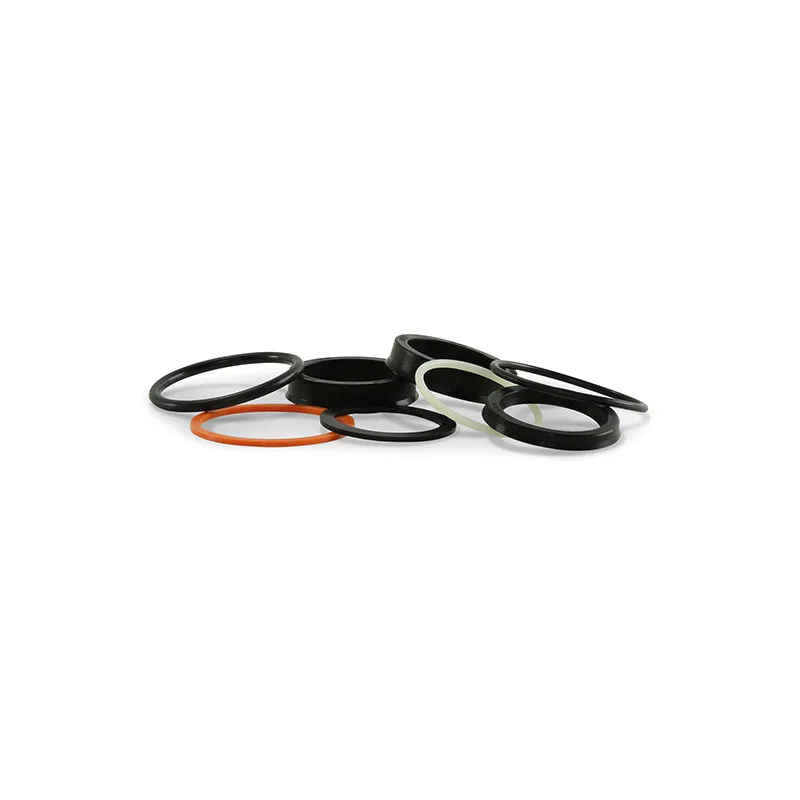 Hydraulic Cartridge Seal Repair Kit