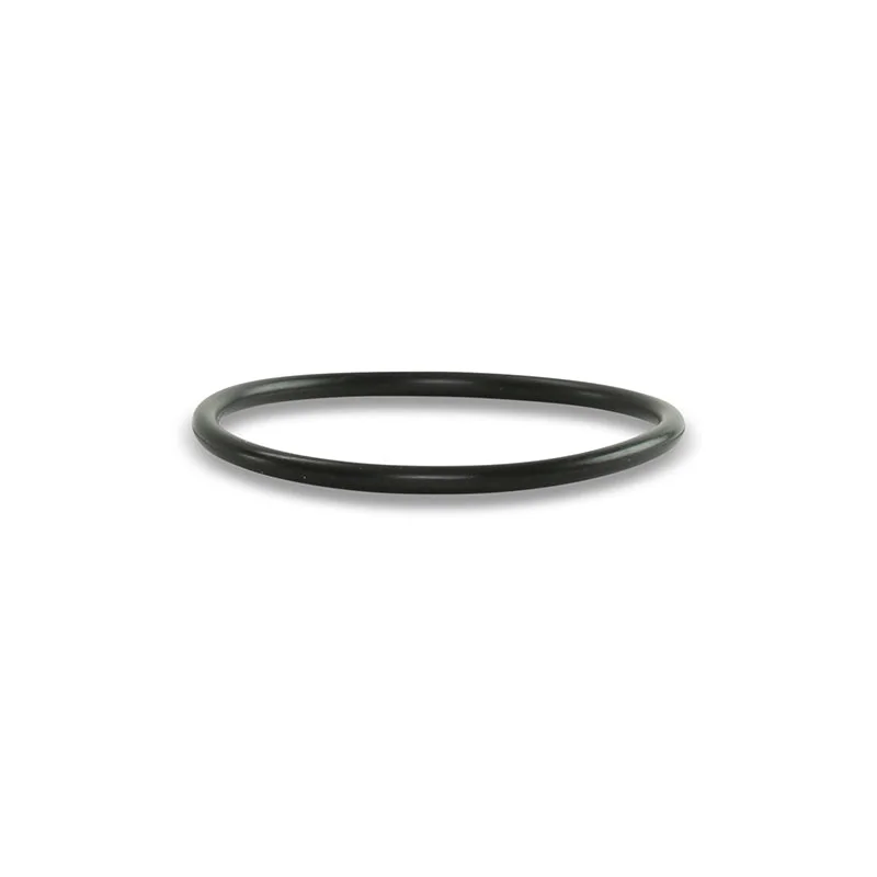Check Valve O-ring (94K)