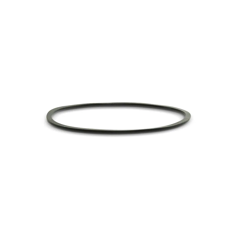Back-up Ring