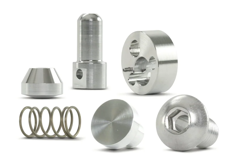 Check Valve Repair Kit, New Style, 1 in.