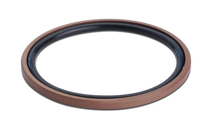 Piston Sealing