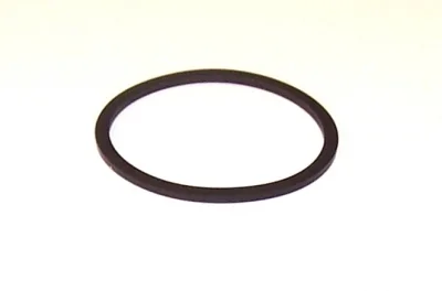 Backup Ring