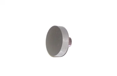 Check Valve Inlet Poppet