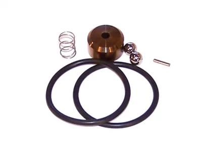 Check Valve Repair Kit, Minor