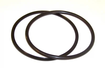 Low Pressure Cylinder Seal, WSI