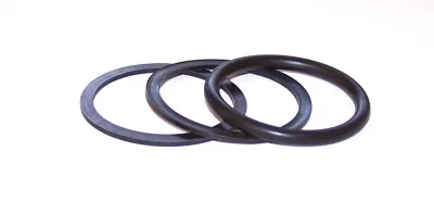 Plunger Seal O-Ring and Backup