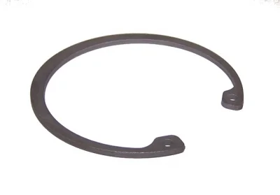 Snap Ring