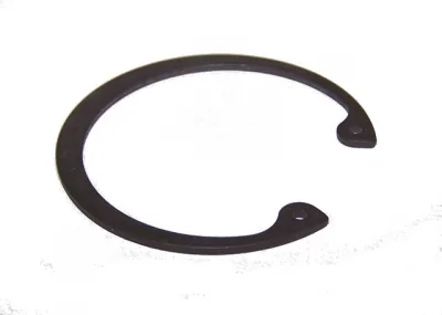 WSI Snap Ring